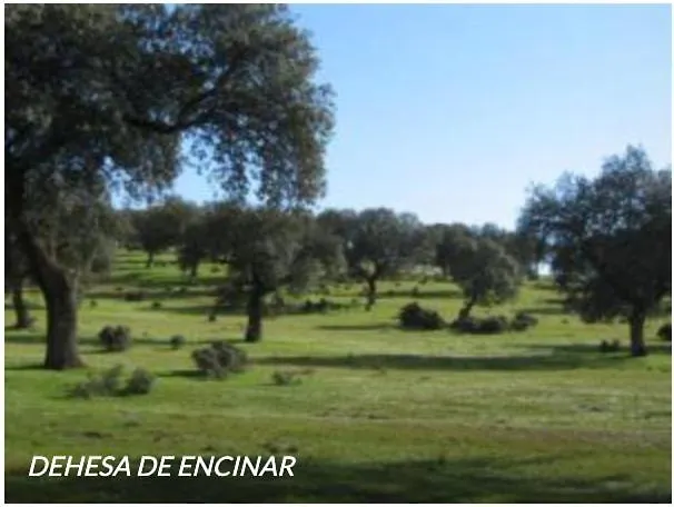 Feriehus Casa Rural Con Encanto El Coronel, Los Panchez, Fuente Obejuna
